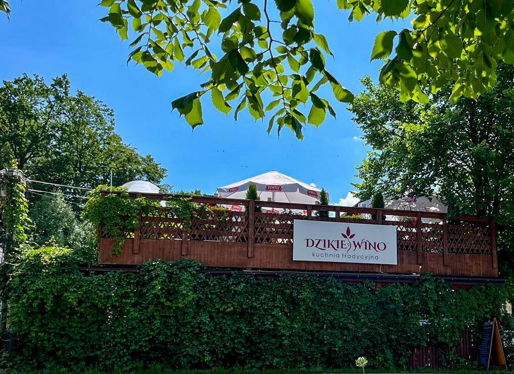 Taras restauracji Dzikie Wino z szyldem, otoczony zielenią — Gródek nad Dunajcem